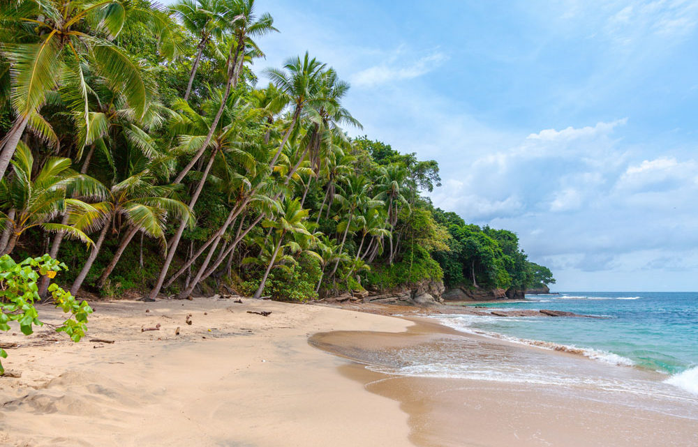 Comment aller à Bocas Del Toro depuis Panama City ?